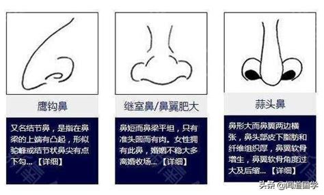 鼻 相學|2024最新鼻相解讀